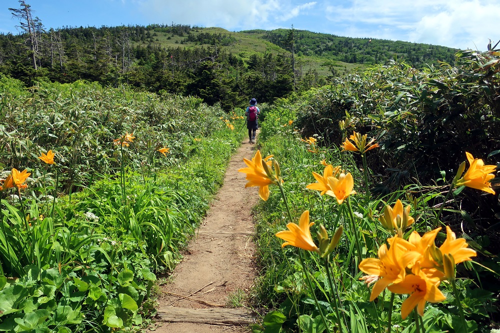 森吉山