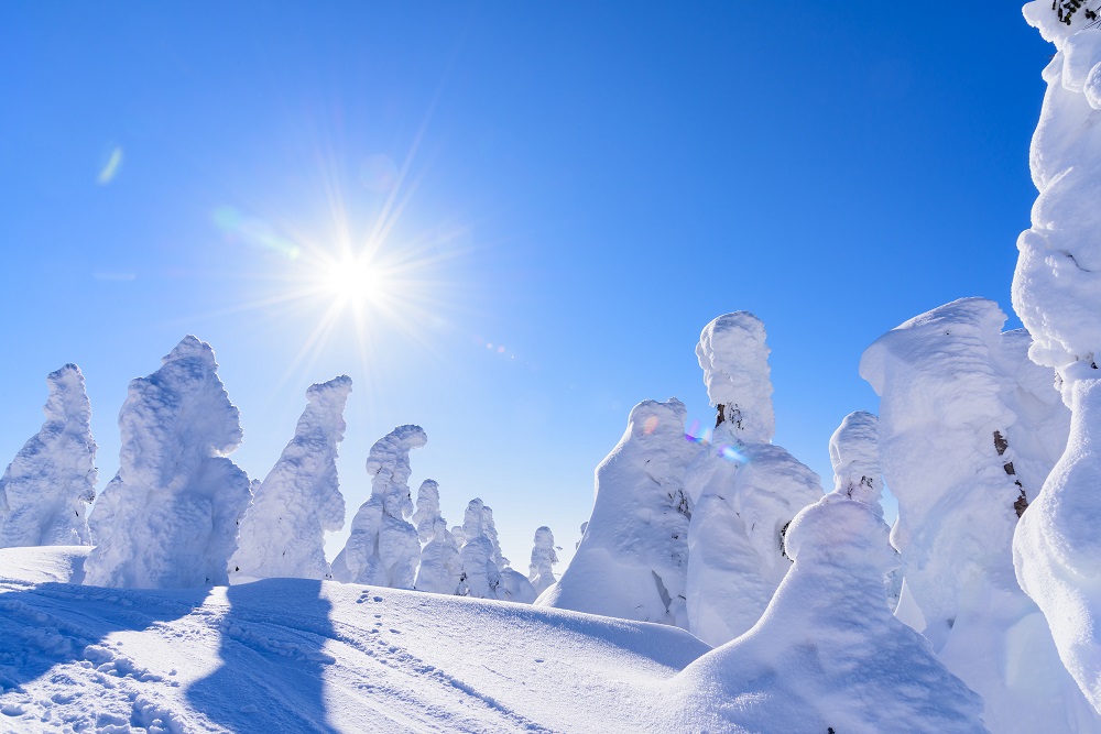 日本三大樹氷のひとつ森吉山