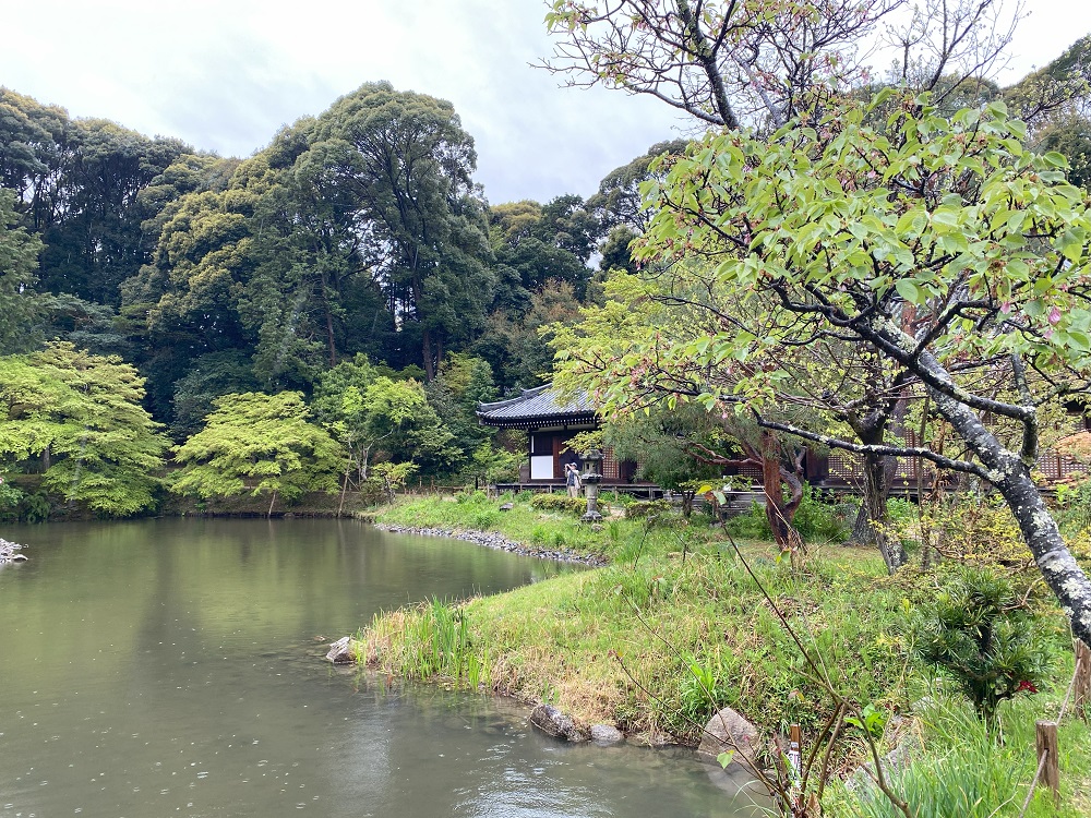 風情ある庭園