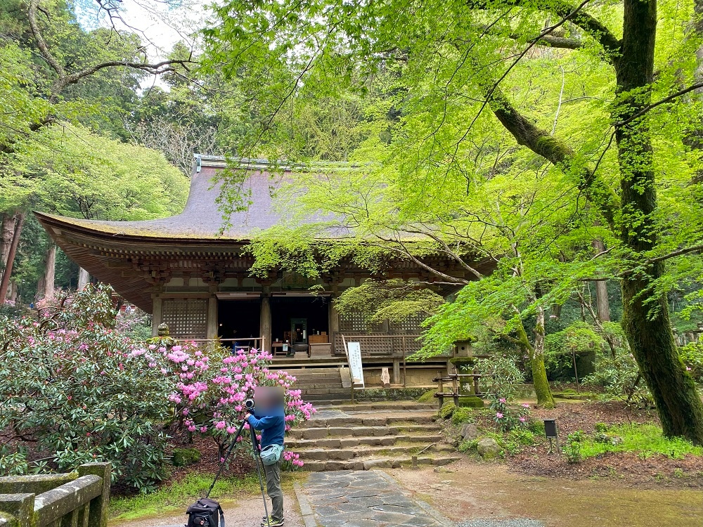 室生寺・本堂