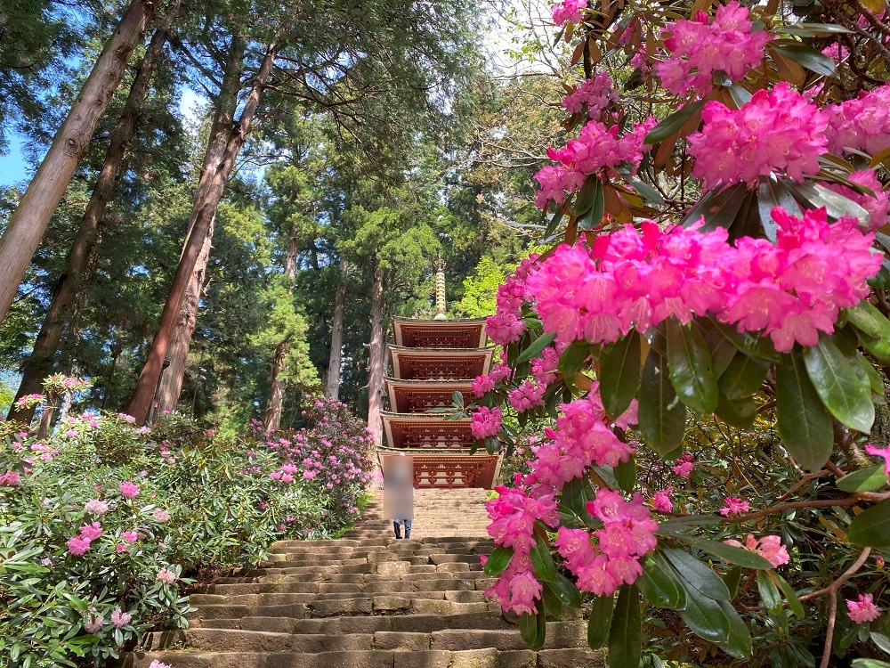 室生寺・五重塔