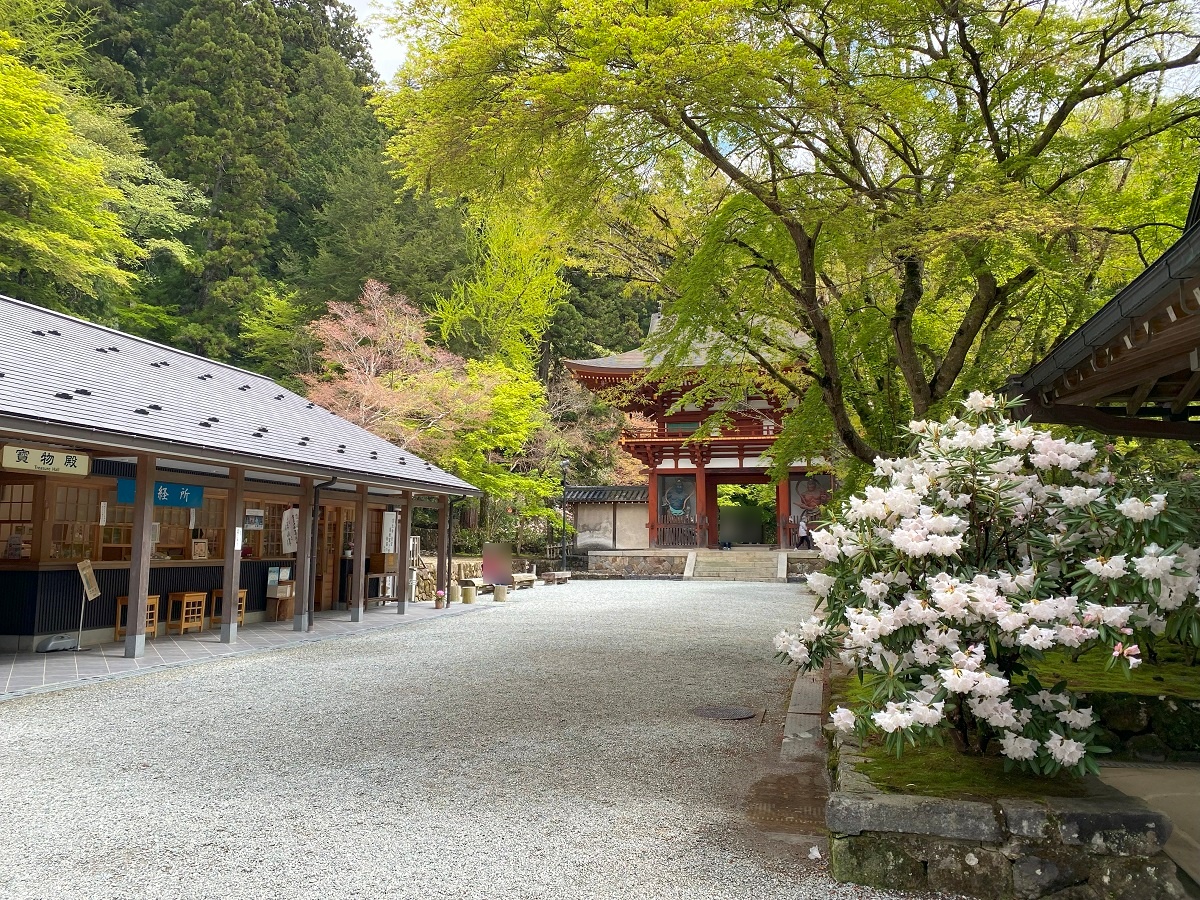 室生寺・寶物殿へ