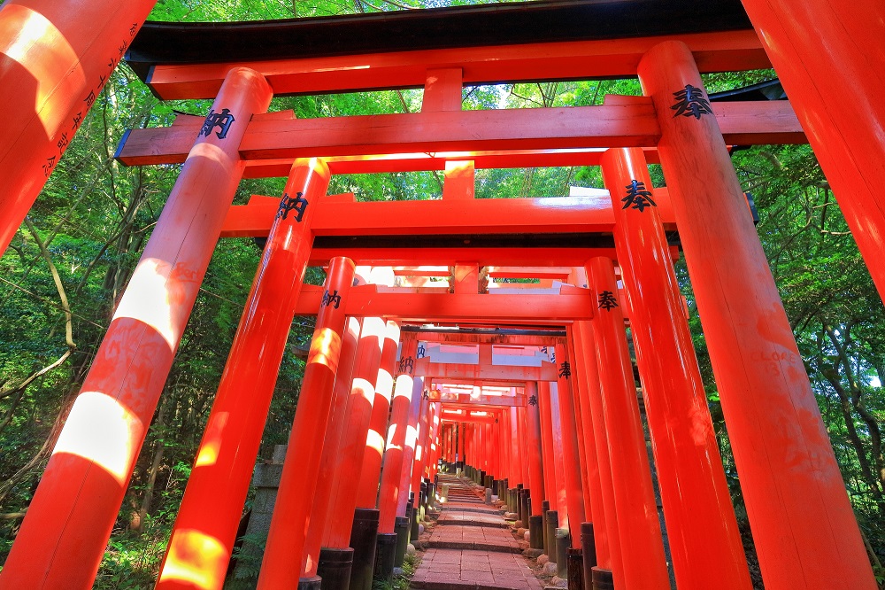 京都で人気の伏見稲荷