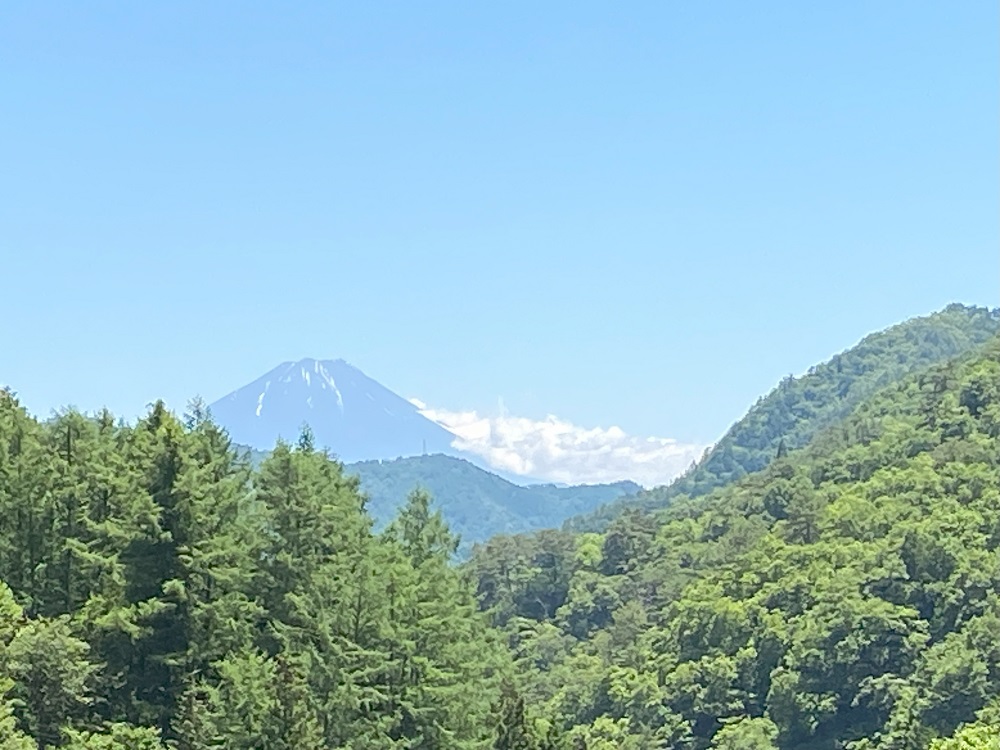 境内からも富士山が見えました