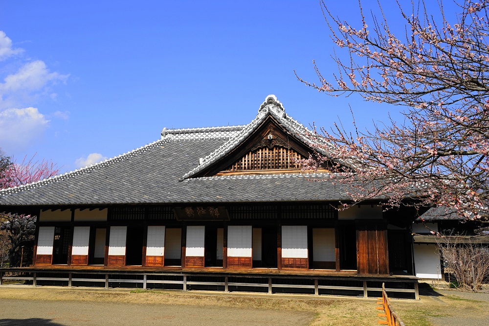 「弘道館」正庁と白梅