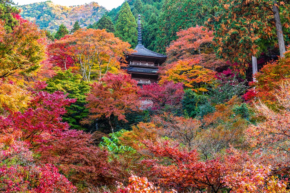 高源寺（丹波市）