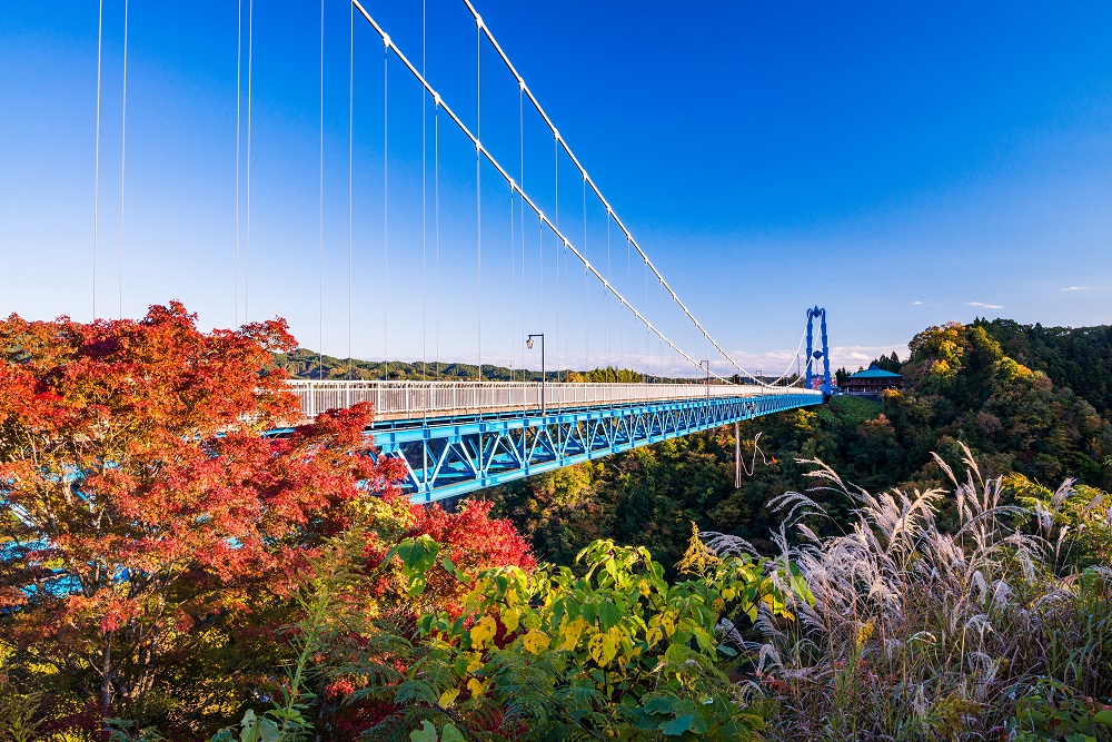 竜神大吊橋