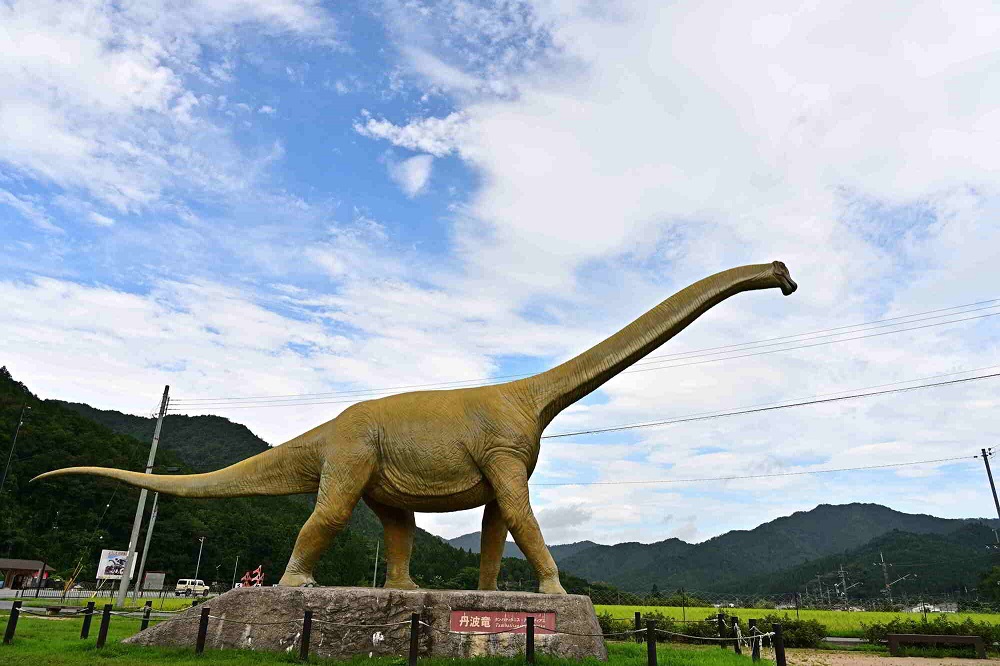 丹波市・丹波竜の里公園