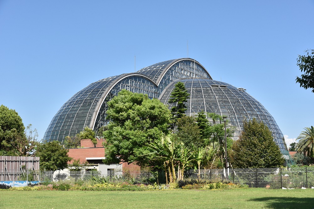 夢の島熱帯植物館