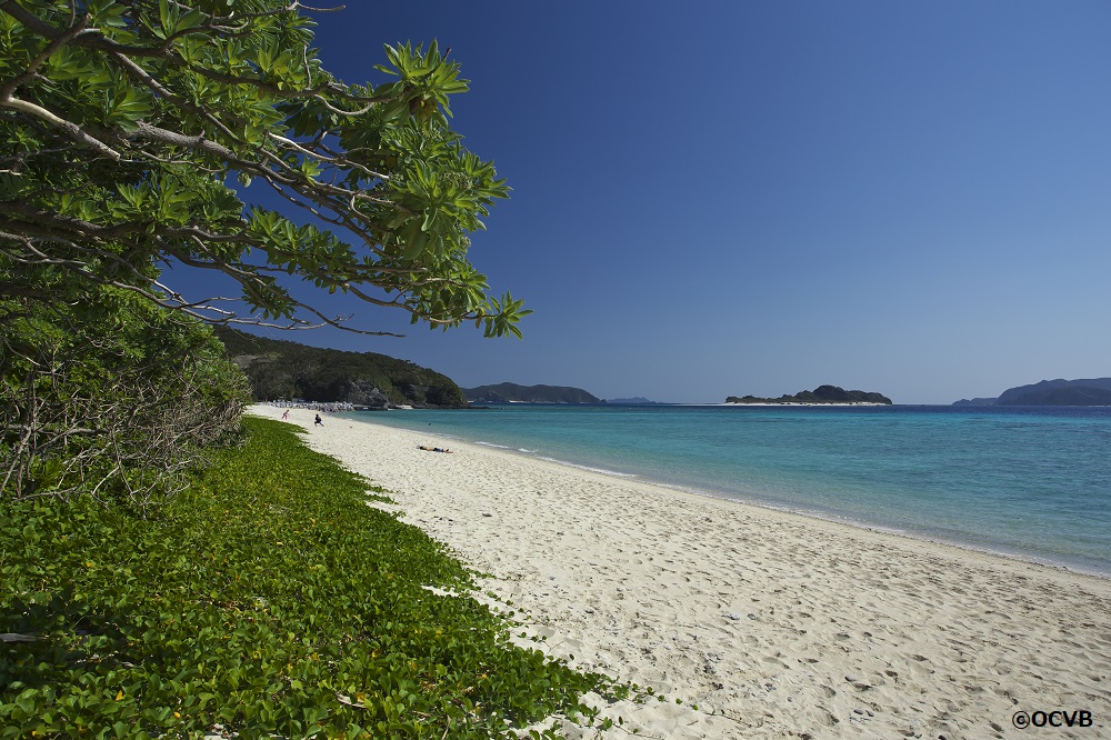 阿真ビーチキャンプ場（慶良間諸島）