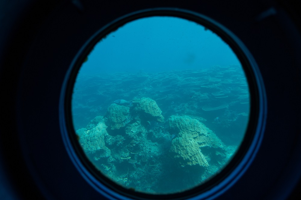 海中展望フロアからの眺め