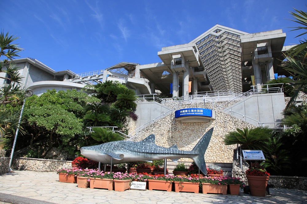 美ら海水族館・入口