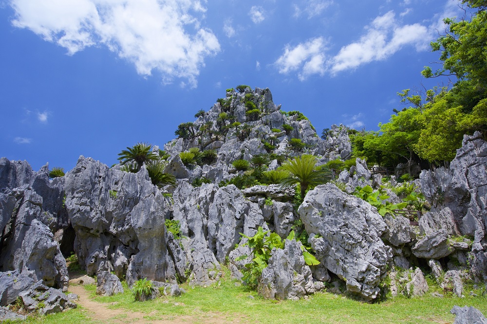 大石林山