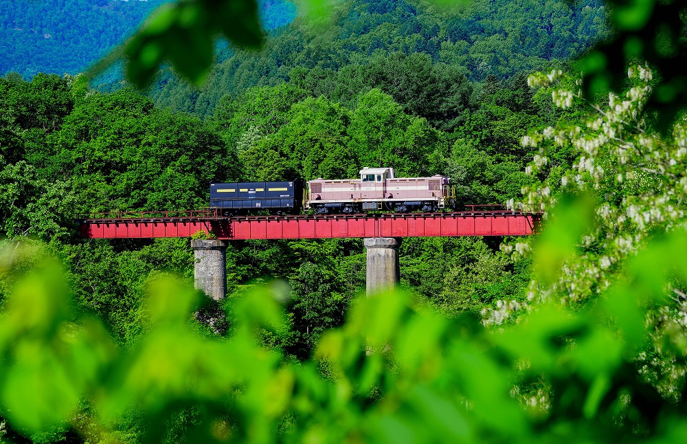 旧三井芦別鉄道 炭山川橋梁