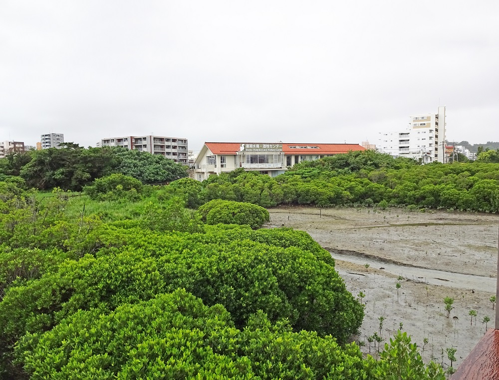 漫湖水鳥・湿地センター