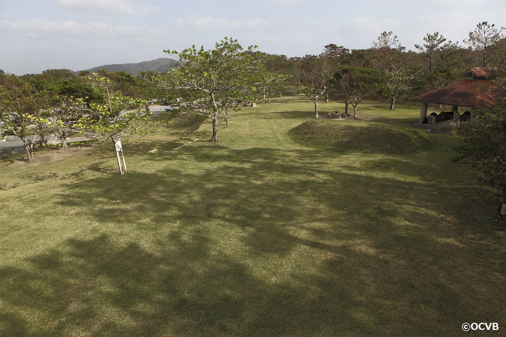 国頭村・県民の森