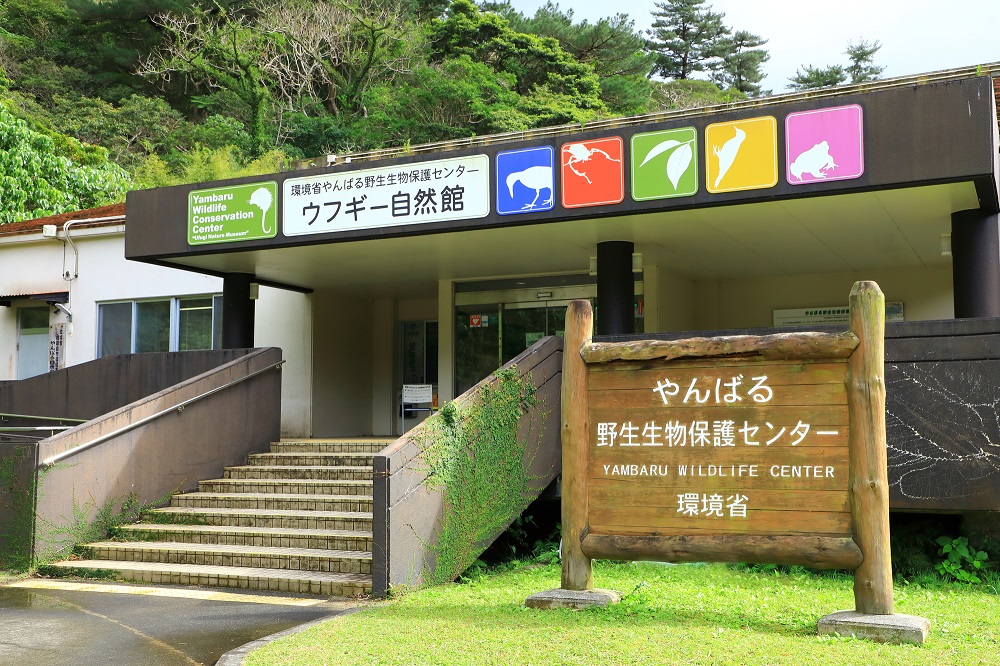 やんばる野生生物保護センター「ウフギー自然館」