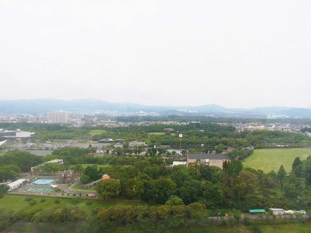 万博記念公園野球場