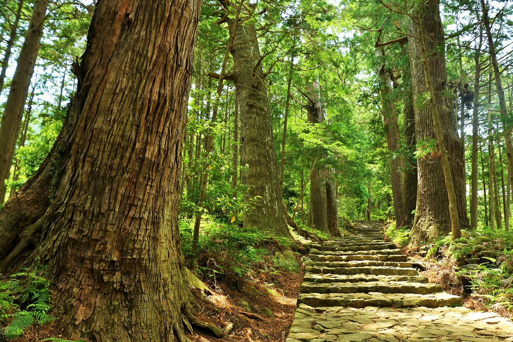 熊野古道　大門坂