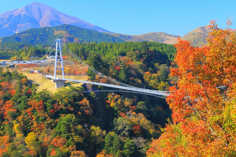 九重夢つり橋