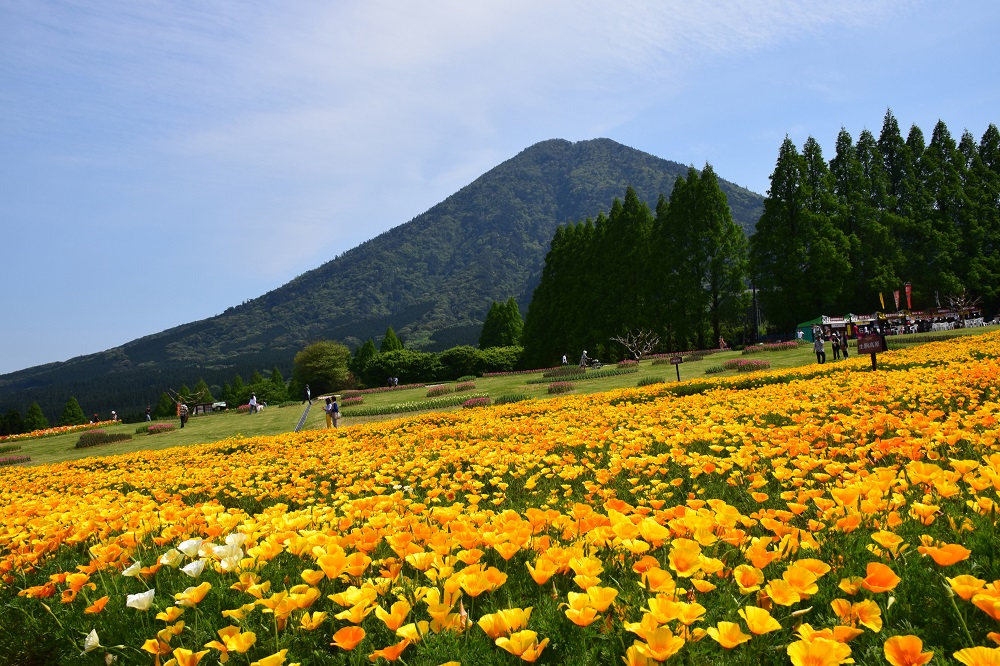 生駒高原