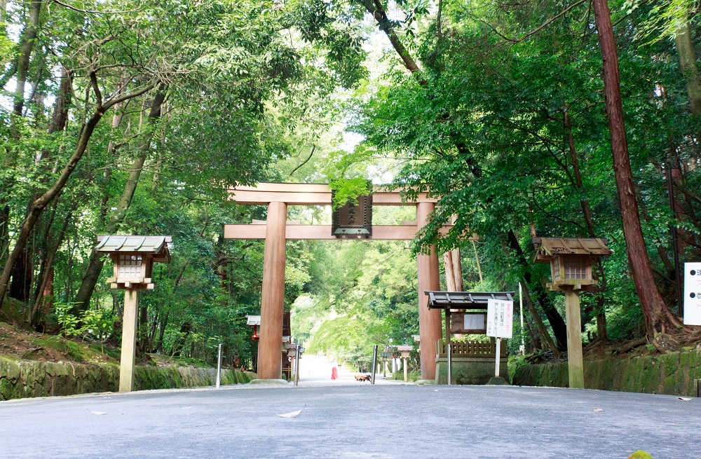 石上神宮の参道