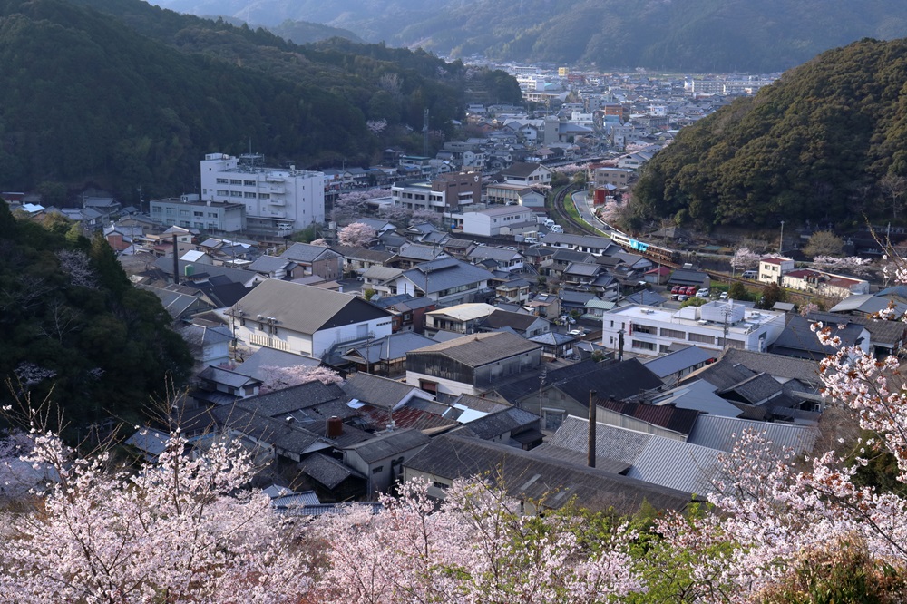 牧野公園