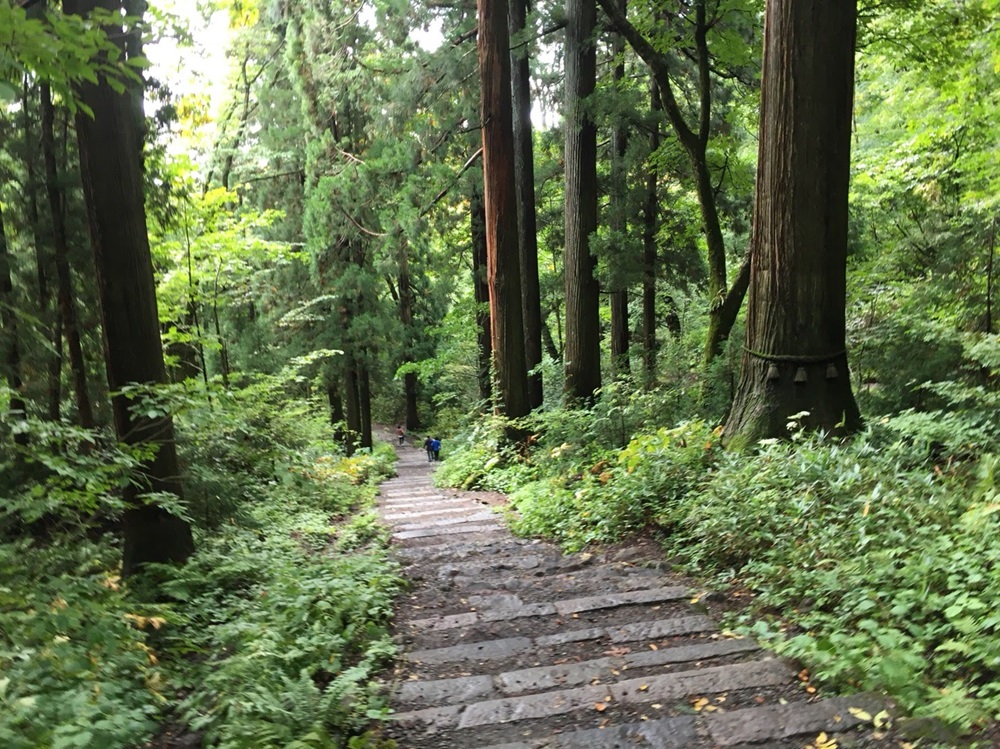 戸隠神社・奥社の帰りに湧き水で洗うとご利益が