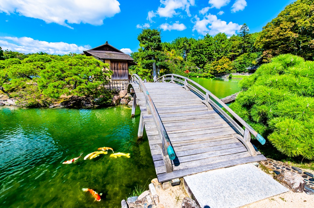 岡山後楽園　沢の池（中の島）