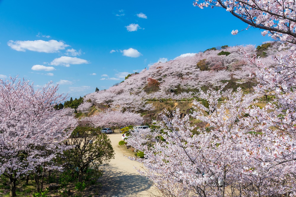 種松山公園西園地