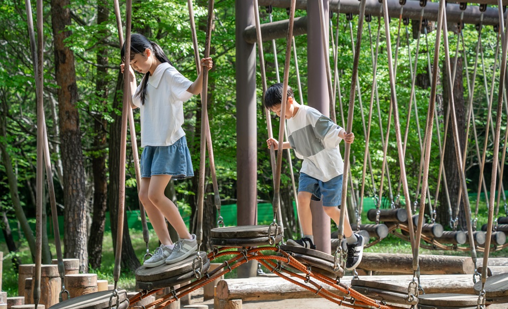 子ども会旅行のおすすめアクティビティ「アスレチック」