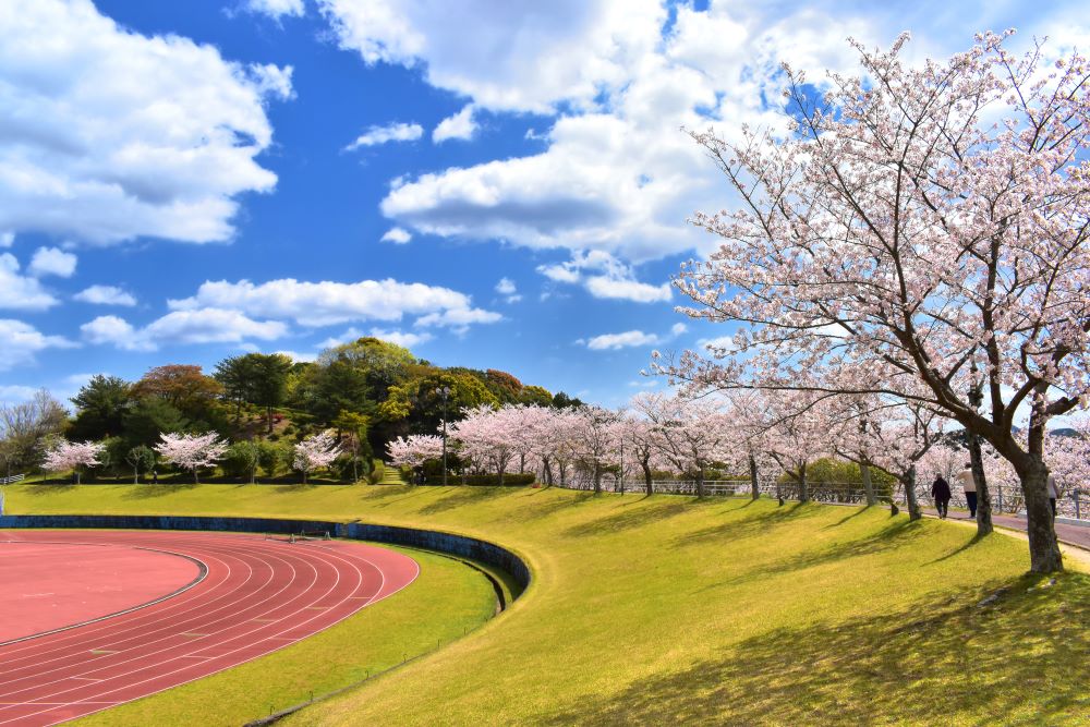 伊万里市国見台運動公園 陸上競技場　　 