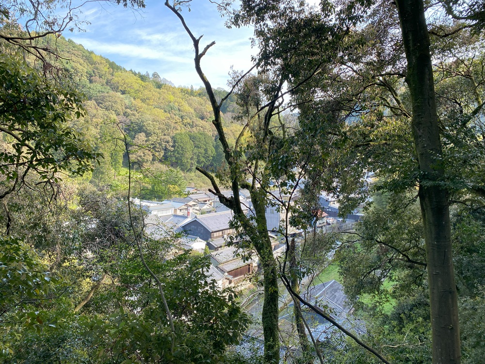 神社からの眺め