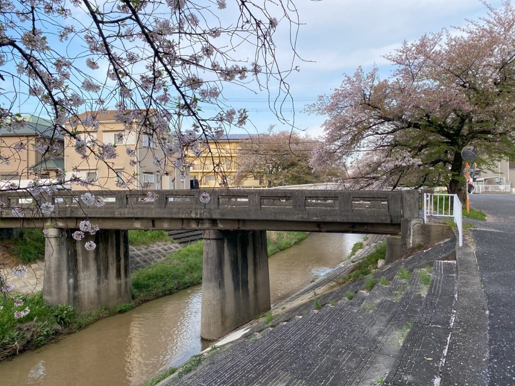 桜井市・栗原川沿いは桜がきれい