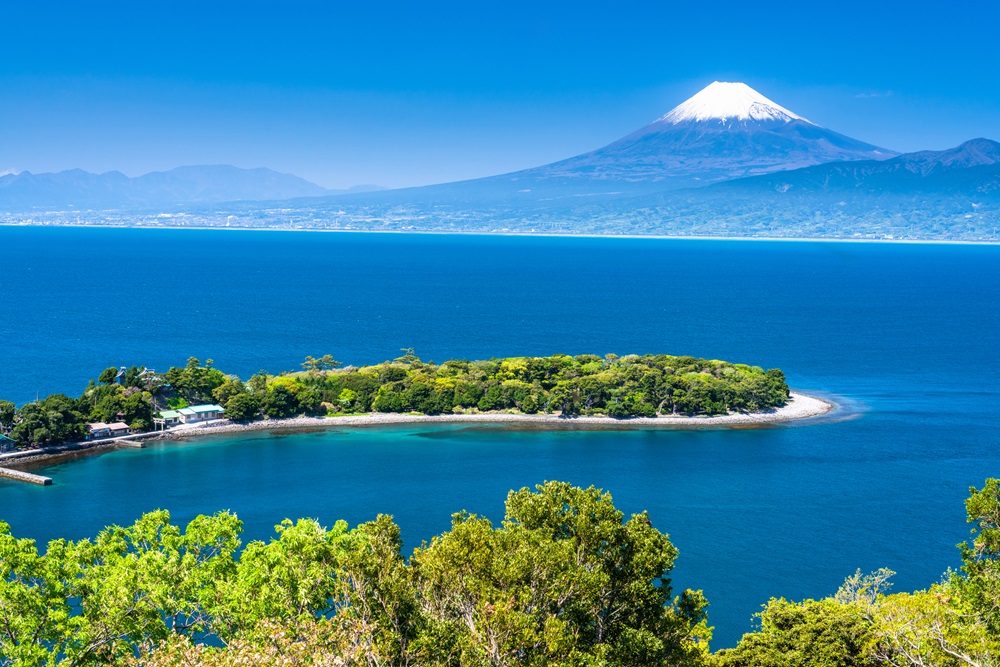 富士山と新緑の大瀬崎