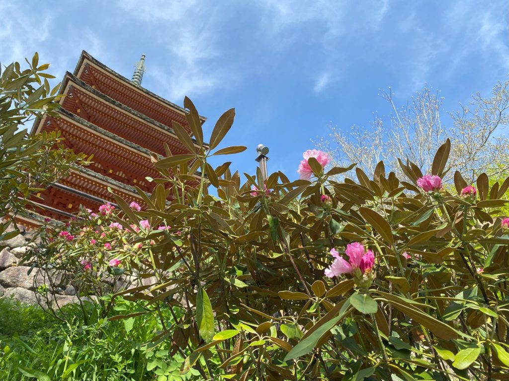 五重塔と花のコラボレーション