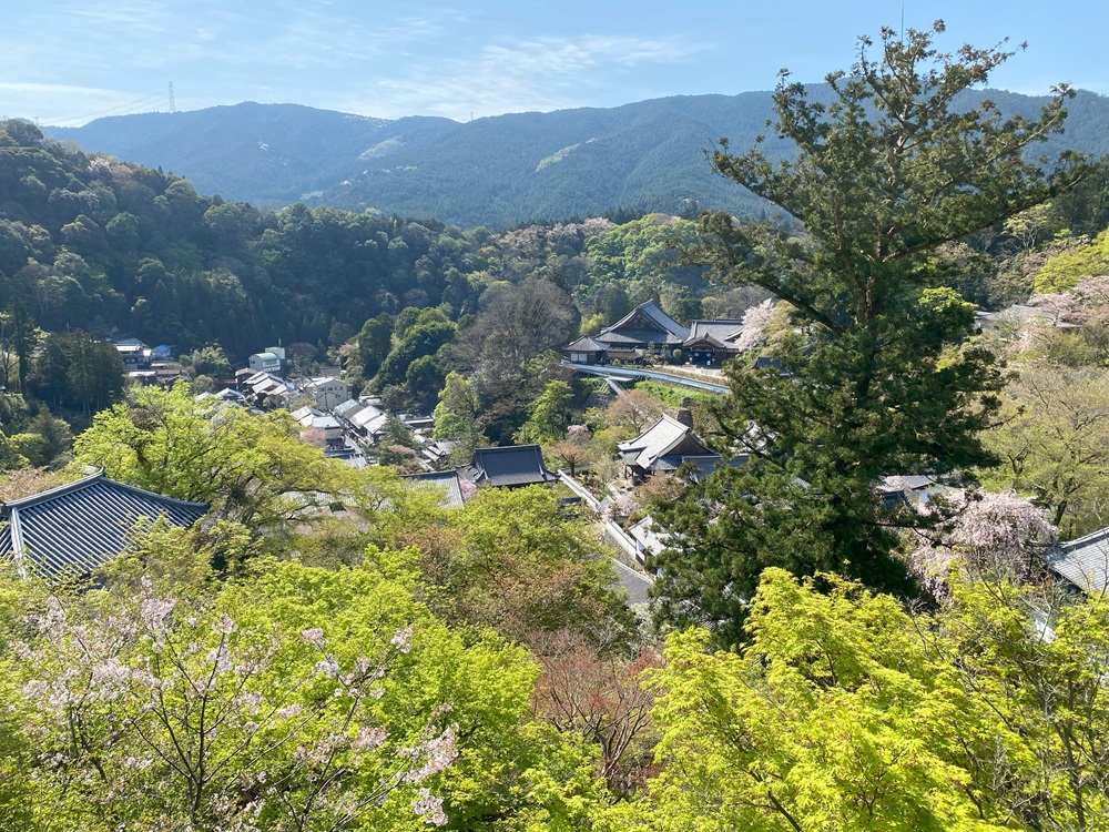 大殿堂からの眺め