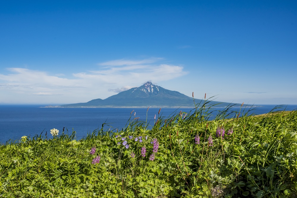 北海道のバス旅行は礼文島・利尻島へ行こう！初夏から秋まで楽しめるイベント情報特集