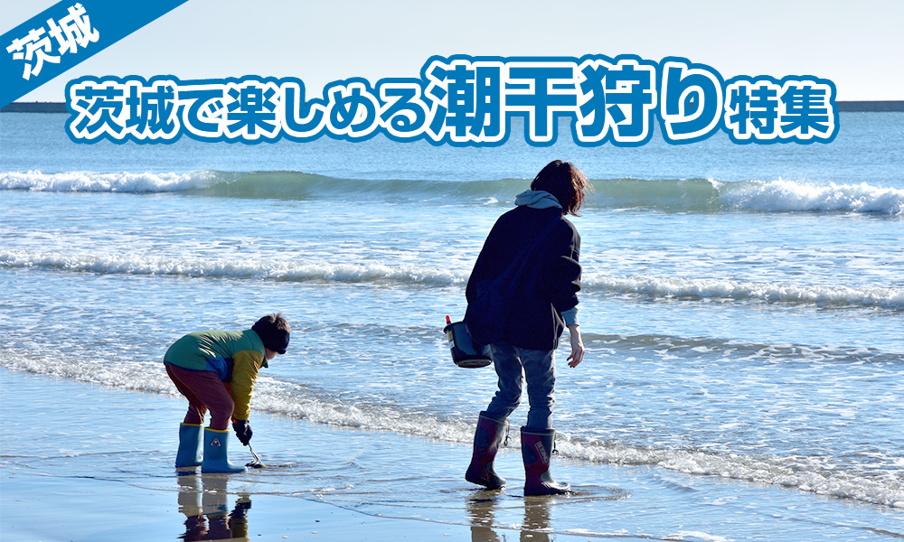 【2025年】貸切バスで送迎ラクラク！茨城県で楽しめる潮干狩り特集
