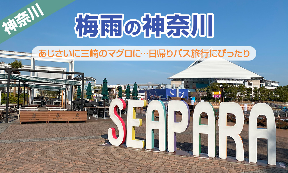 【2025年】あじさいに三崎のマグロに、梅雨時の神奈川は日帰りバス旅行にぴったり