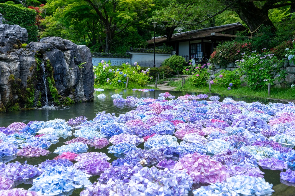 大阪府池田市「久安寺」