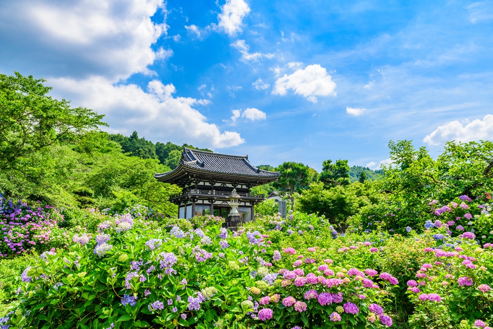 丹州 華観音寺