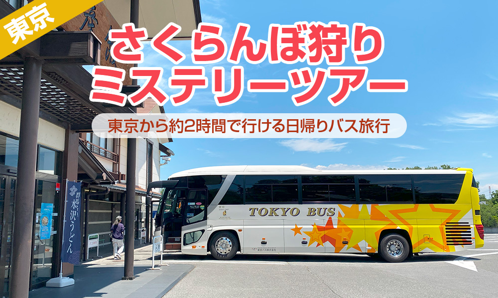 東京から貸切バスで約2時間で行ける日帰りバス旅行。さくらんぼ狩りミステリーツアー
