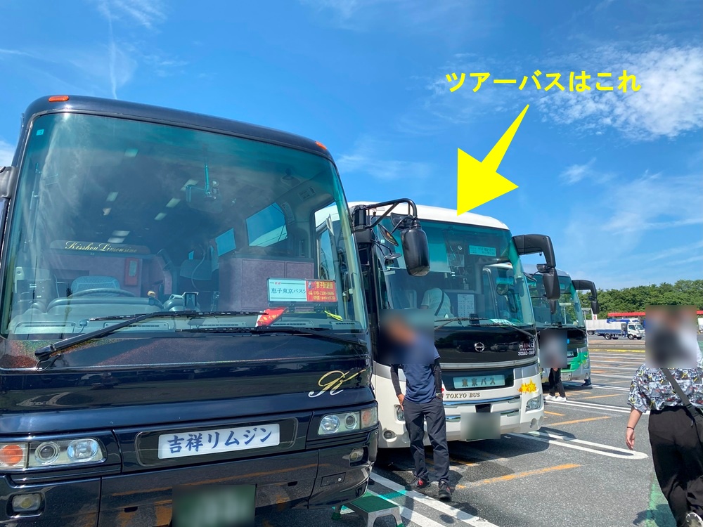 今回お世話になった東京バス