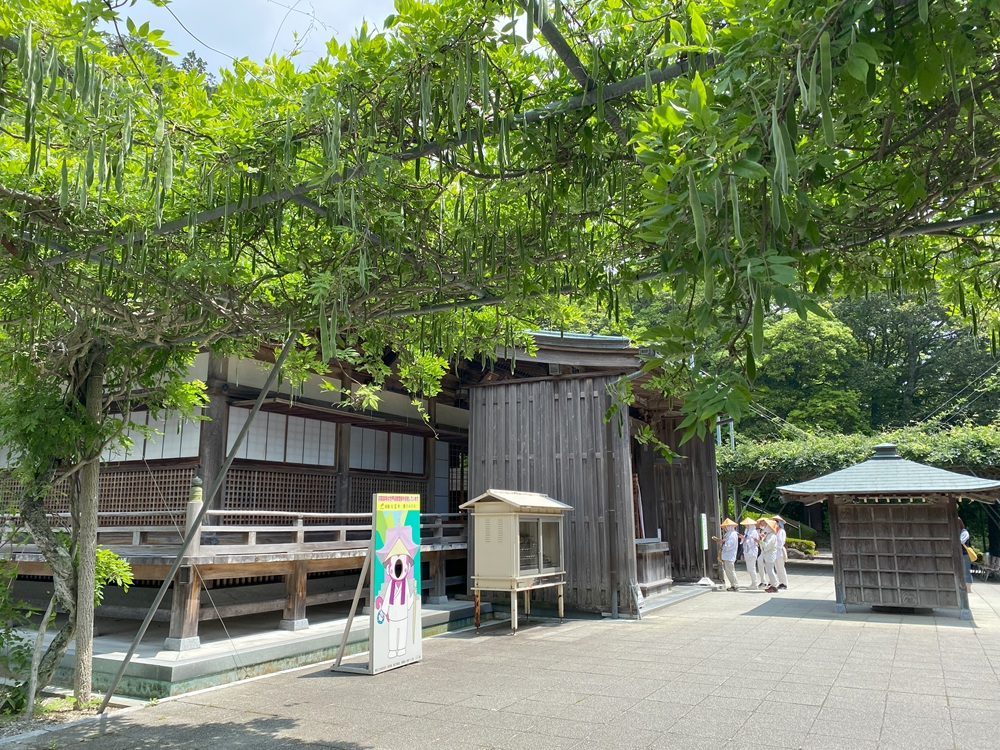 2024年は“逆打ちお遍路”の年、香川2泊5麺の旅（4）大窪寺・長尾寺・志度寺編