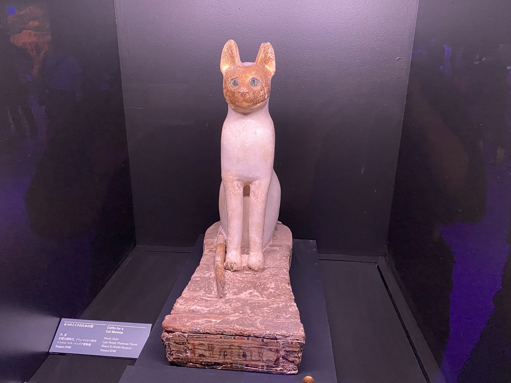 猫のミイラのための棺