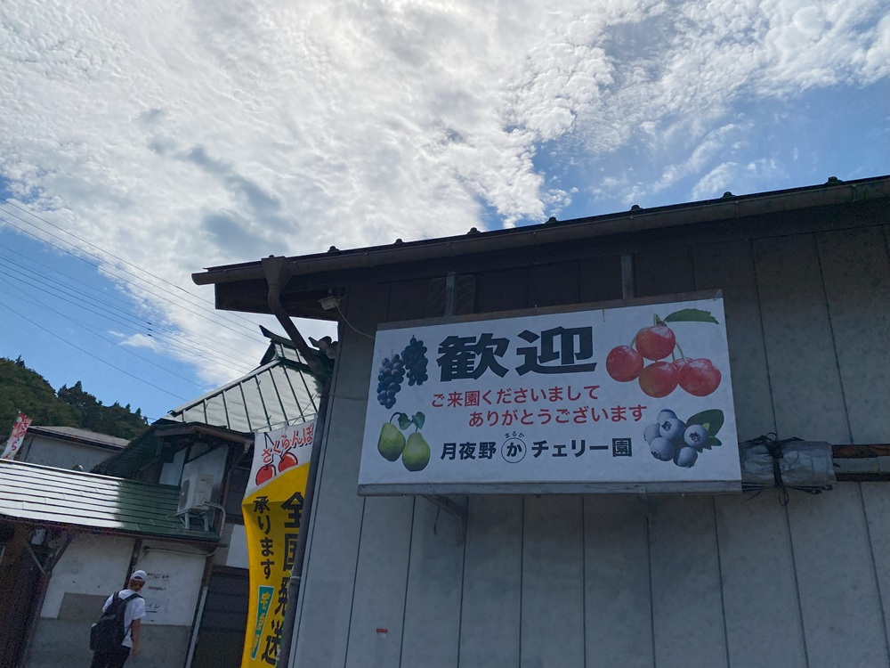 月夜野まるかチェリー園