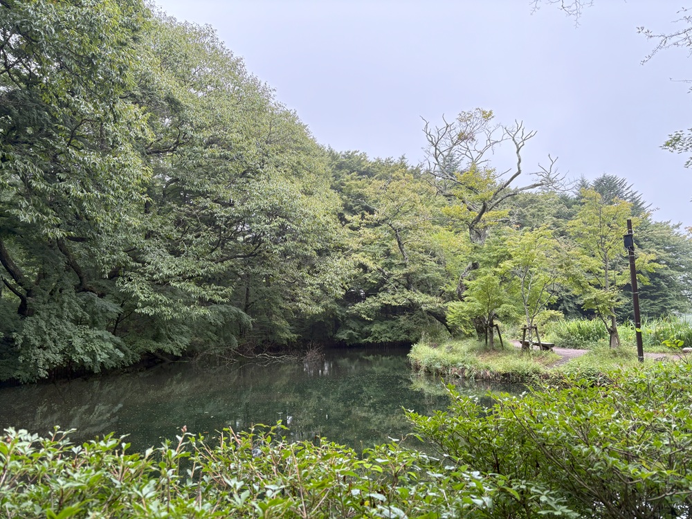 雲場池