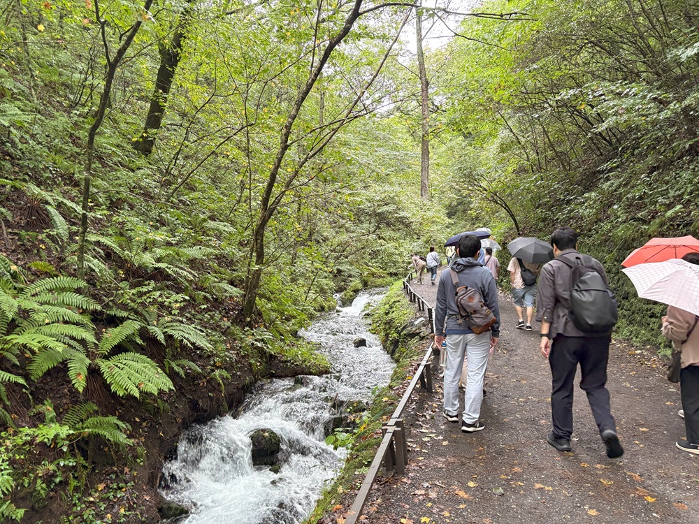 白糸の滝まで少し歩きます
