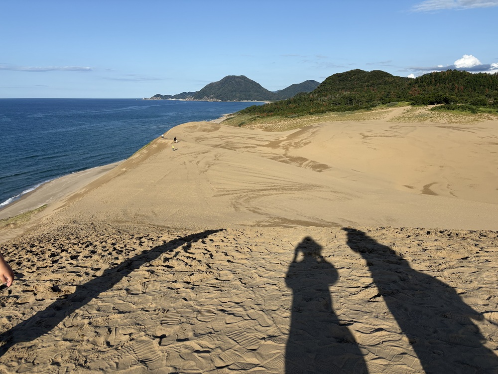 写真だとスケール感が伝わらない